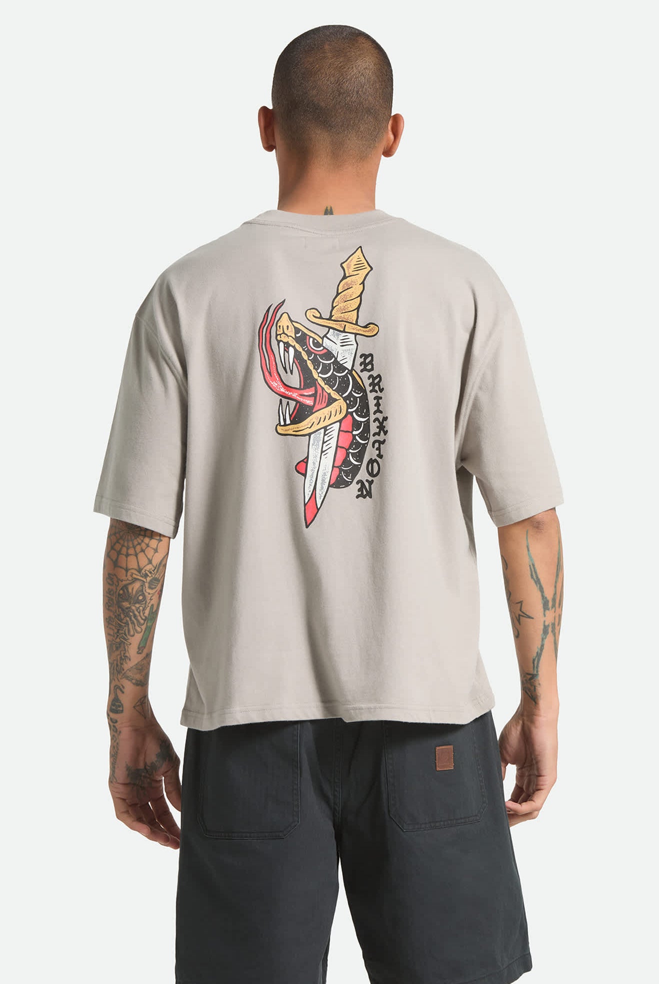 Men's Sword Short Sleeve Boxed Crop T-Shirt in the color Pebble Stone - Men's Back View