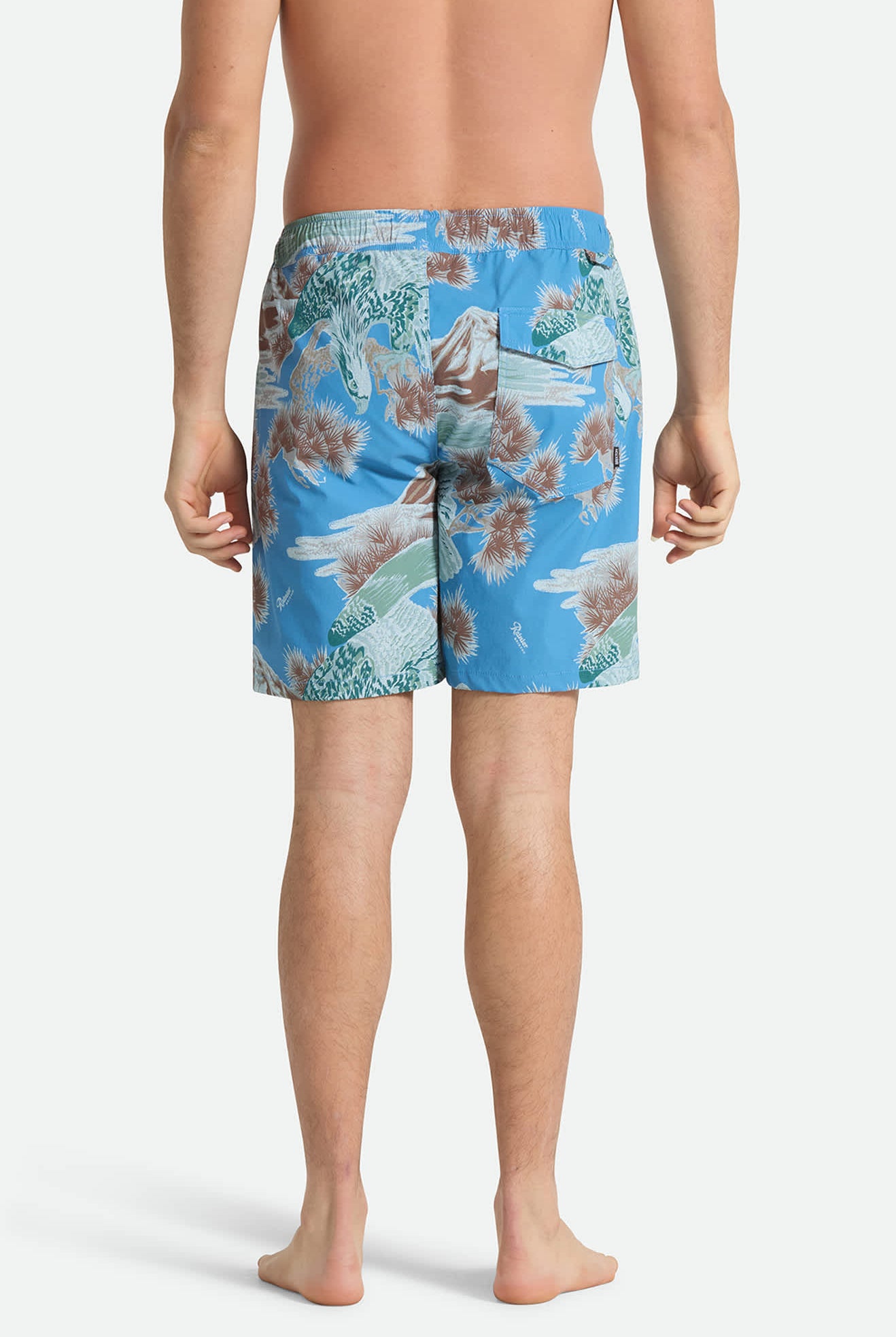 Men's Everyday Stretch Hybrid Short 7" in the color Blue Sky Rainier - Men's Back View