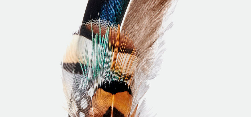 Brixton Unisex Brixton Hat Feather - Bison/Mojave/Burnt Orange | Main