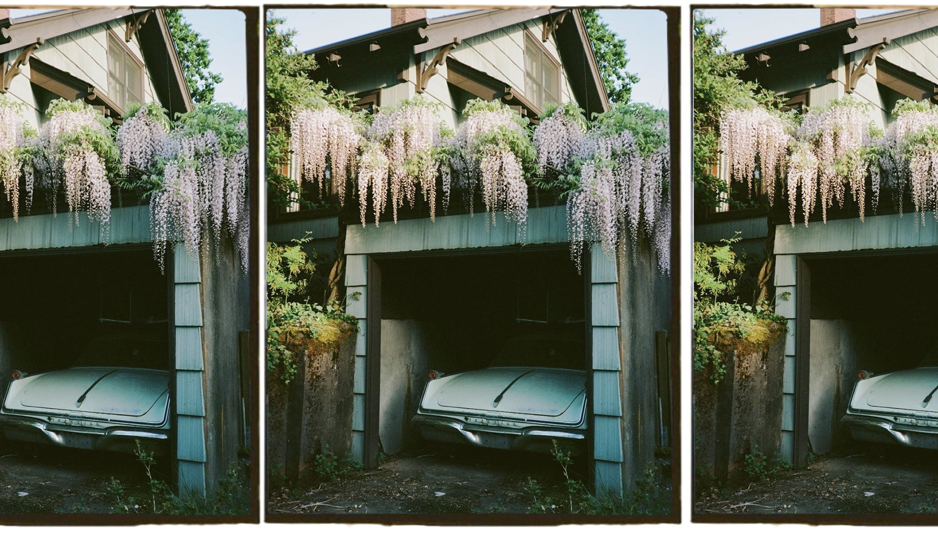 gid://shopify/MediaImage/35642332348568