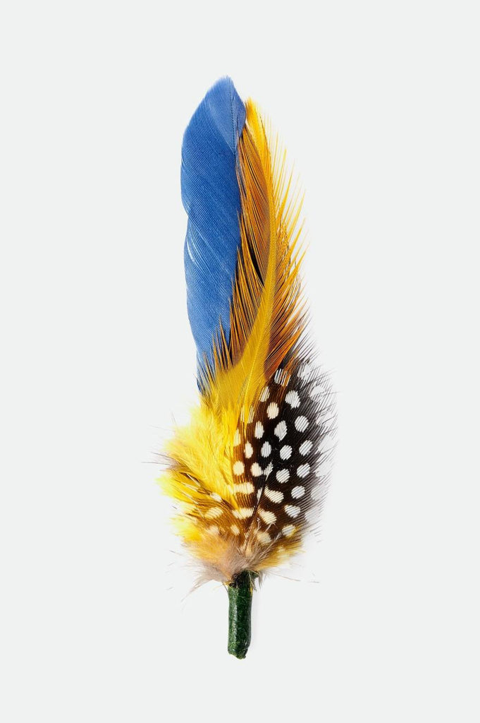 Brixton Brixton Hat Feather - Joe Blue/Black/Yellow