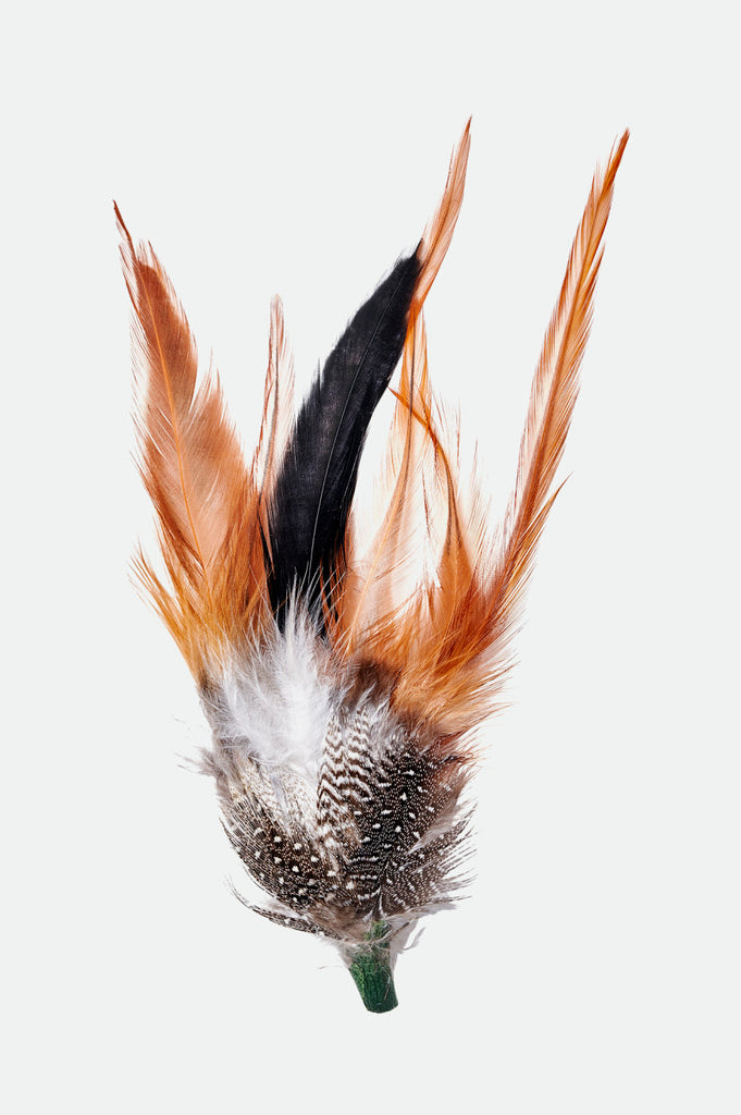 Brixton Brixton Hat Feather - Burnt Orange/Black/Mahogany