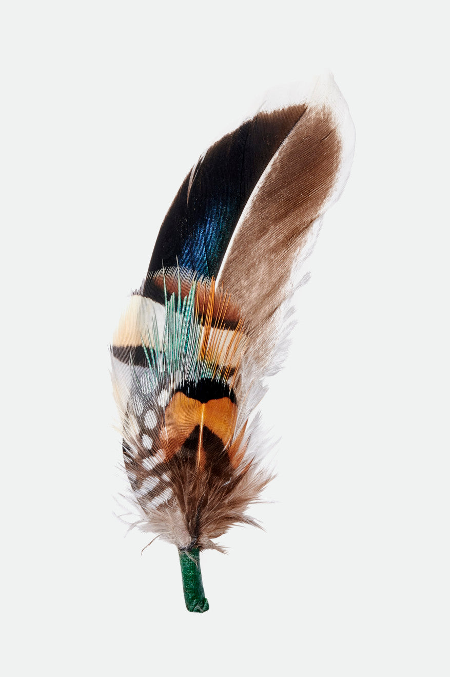 Hat Feather Bison Mojave Burnt Orange Brixton
