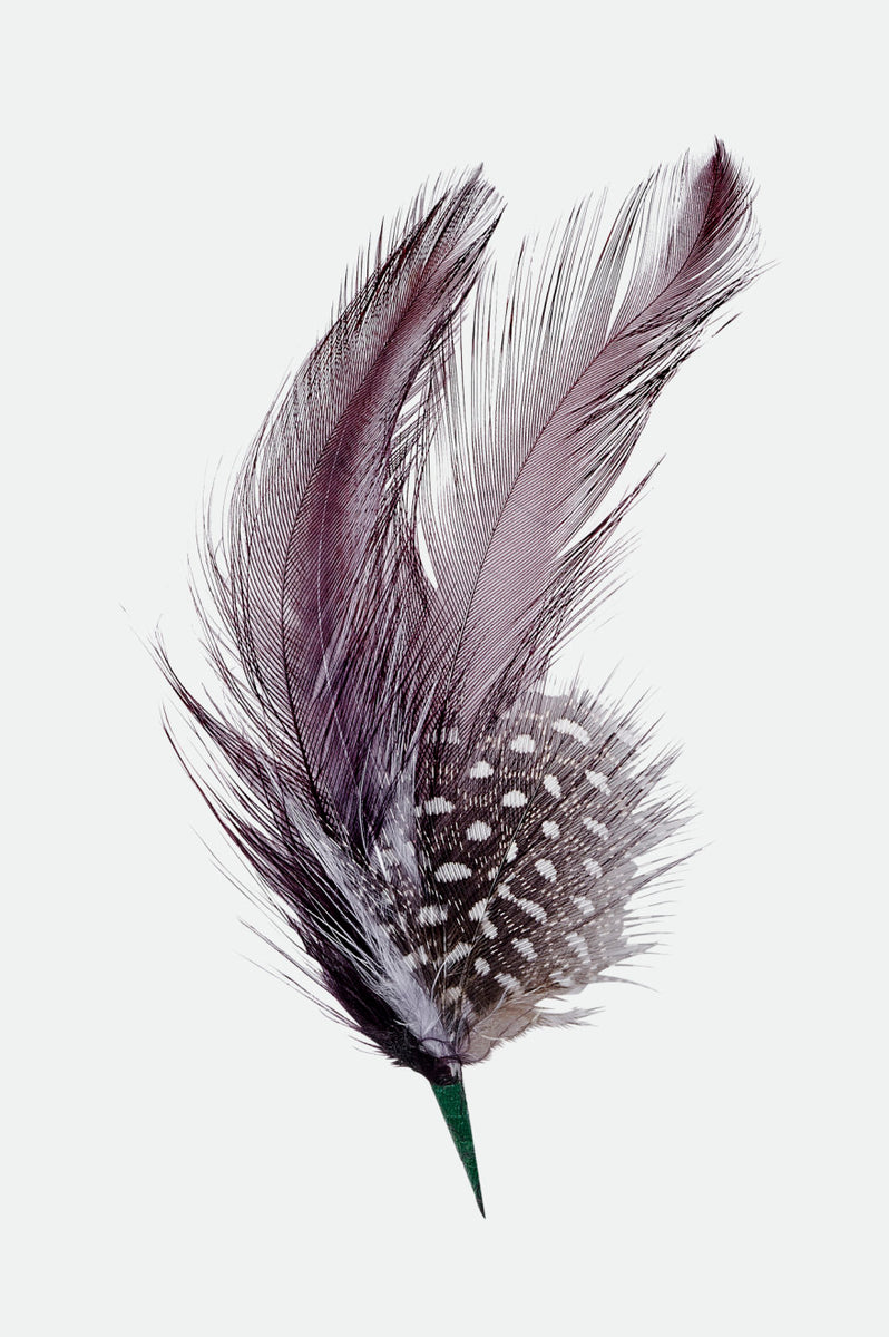 Unisex Brixton Hat Feather in Burnt Henna/Black