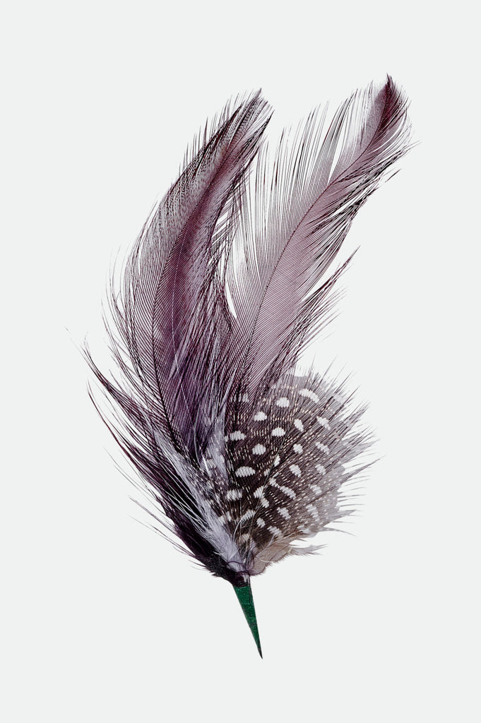 Brixton Hat Feather - Burnt Henna/Black